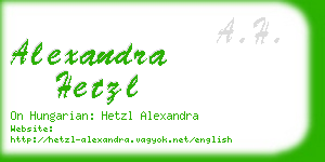 alexandra hetzl business card